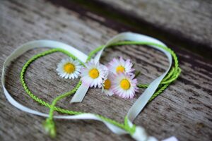 daisydaisy